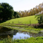 michel-chalets-photo