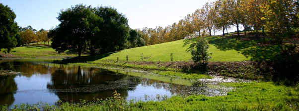 michel-chalets-photo
